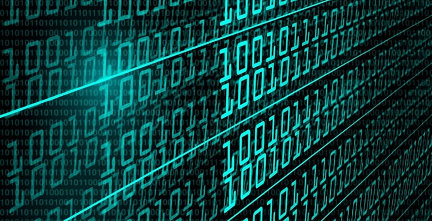 Qual a importância de algoritmos na programação?